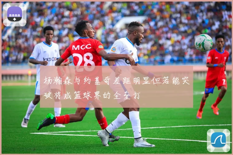 杨瀚森与约基奇差距明显但若能突破将成篮球界的全垒打