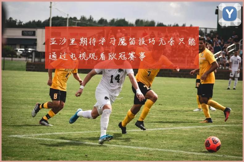 亚沙里期待学习魔笛技巧无奈只能通过电视观看欧冠赛事