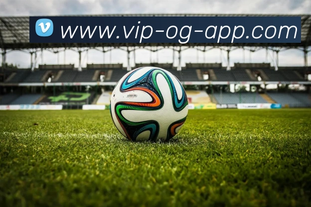 OG真人平台生态图